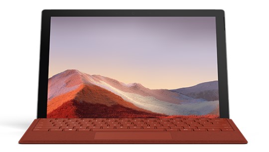佛罗镇清洁和维护 Surface